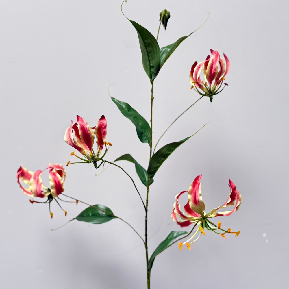 gloriosa kunstbloem