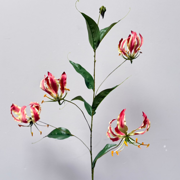 gloriosa kunstbloem