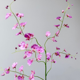 Orchidee spray Roze