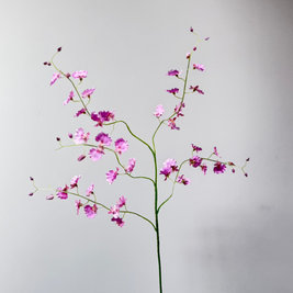 Orchidee spray Roze