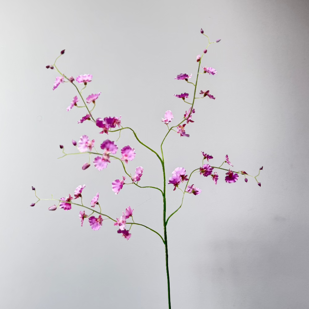 Orchidee spray Roze