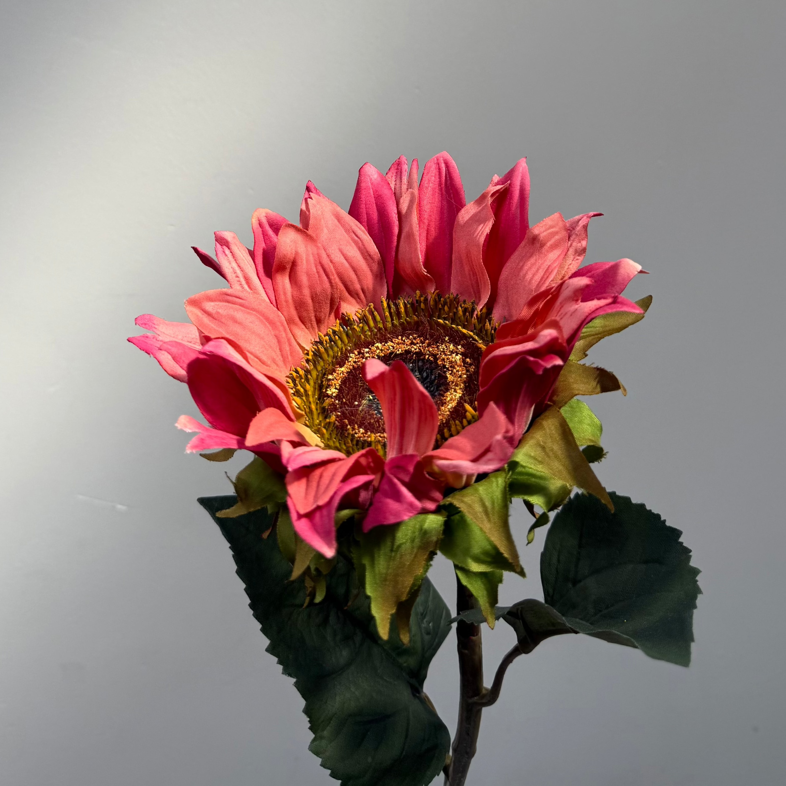 Zonnenbloem