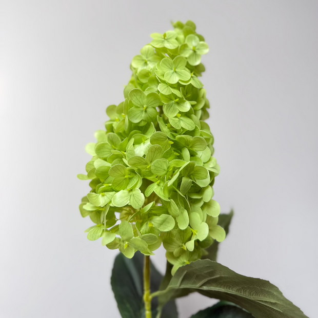 groene pluimhortensia-kunstbloem