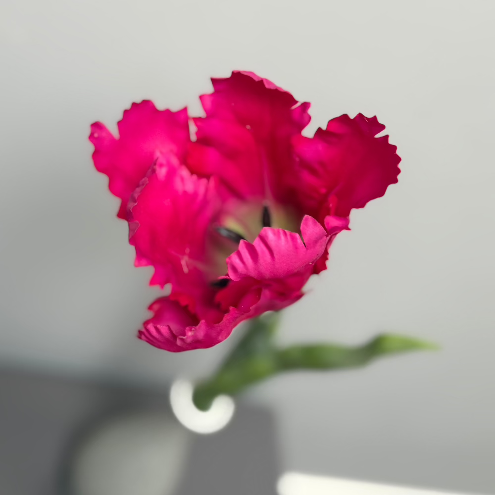 zijden-papegaaitulp-fuchsia-roze-kunstbloem