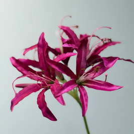 donkere roze nerine-kunstbloem