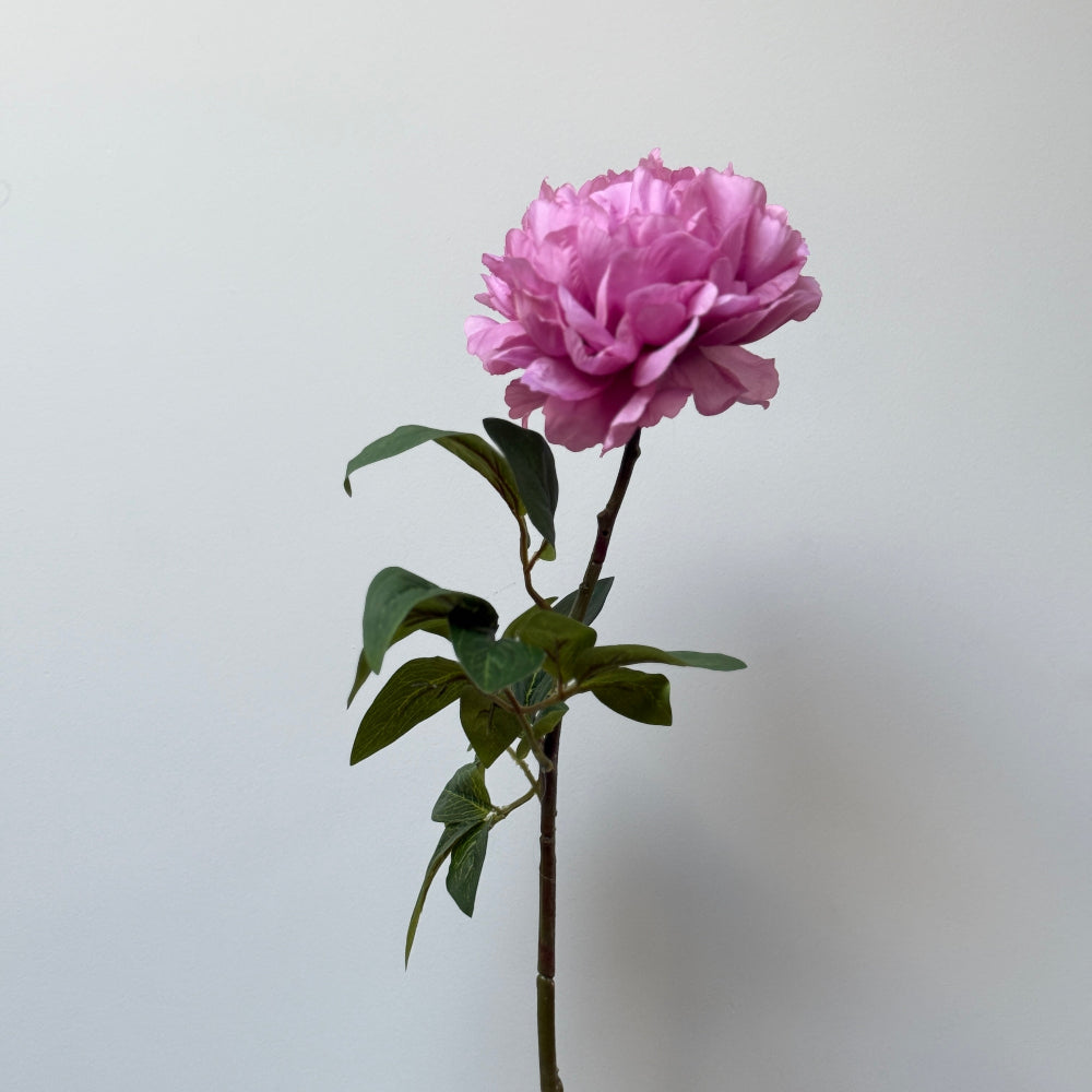 Pioenroos roze