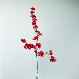 kersenbloesem-dieproze-nepbloem