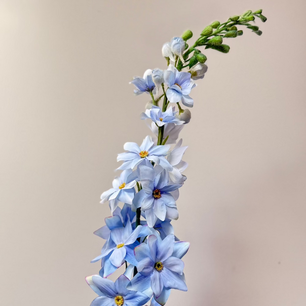 lichtblauwe-delphinium-zijdenbloem-nepbloem