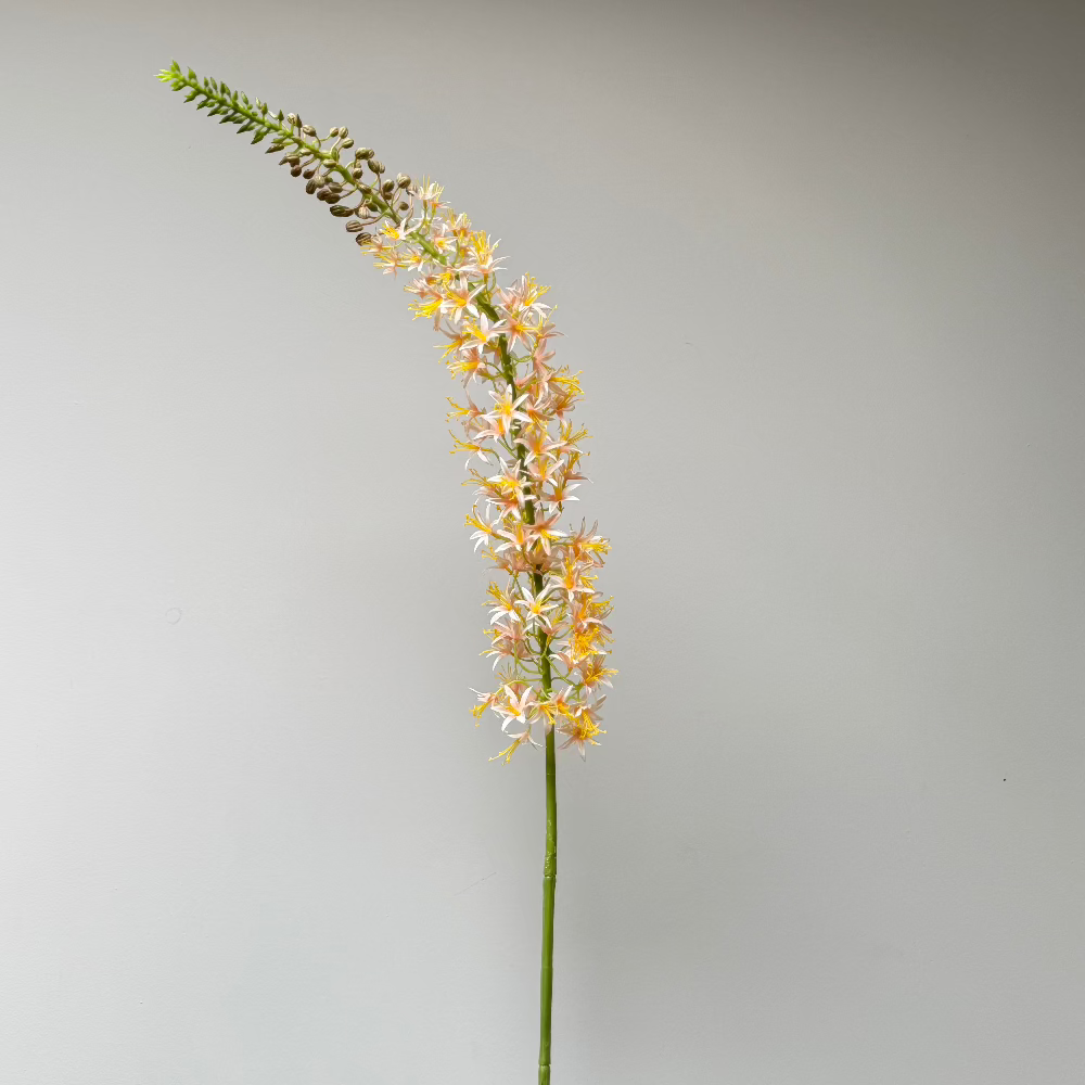 zijdenbloem-eremurus-zalm