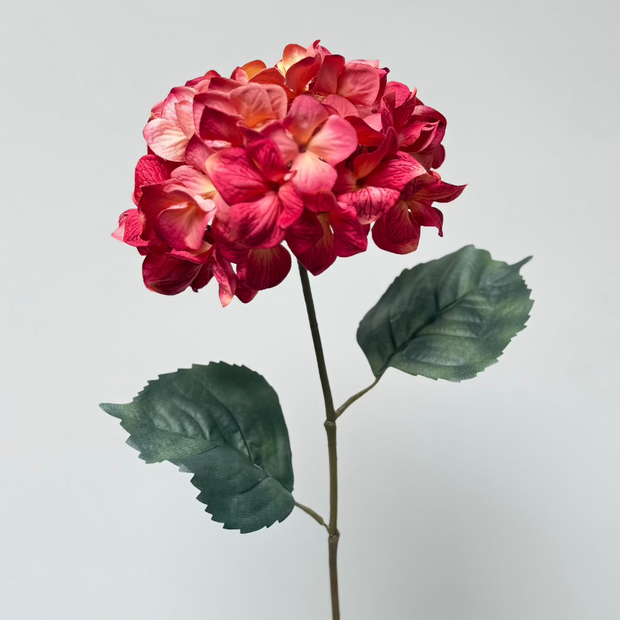 roze bol hortensia