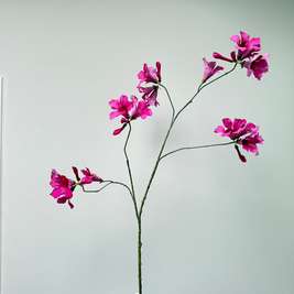 zijdenbloem-mandevilla-fuchsia-kunsttak