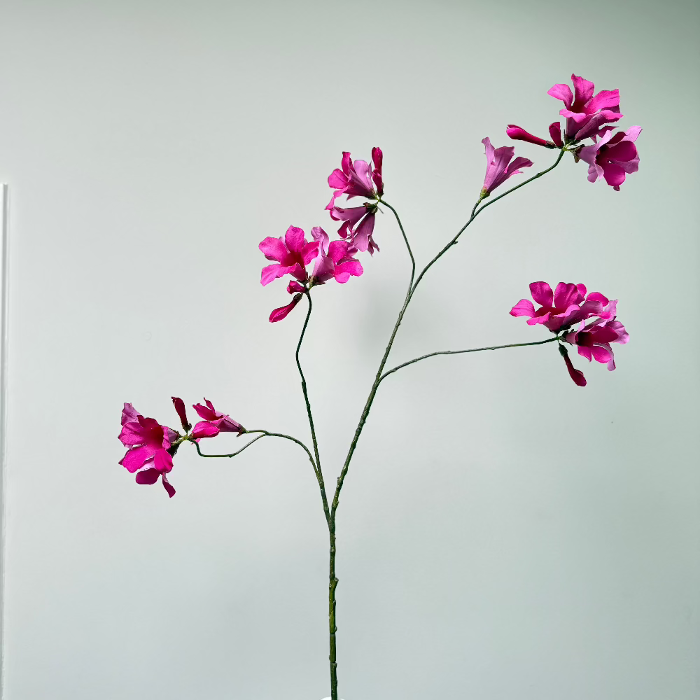 zijdenbloem-mandevilla-fuchsia-kunsttak