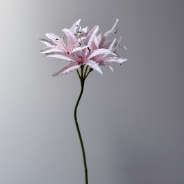 zijden roze nerine