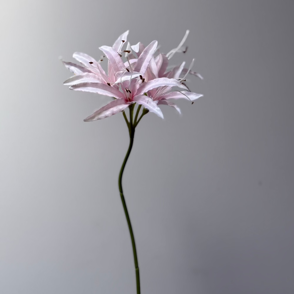 zijden roze nerine