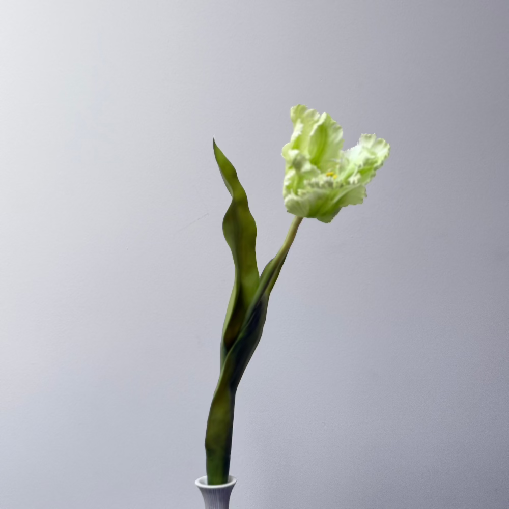 Tulp Geel