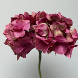 oud roze rode hortentia kunstbloem zijdenbloem.