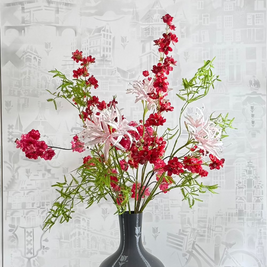 Nerine Roze