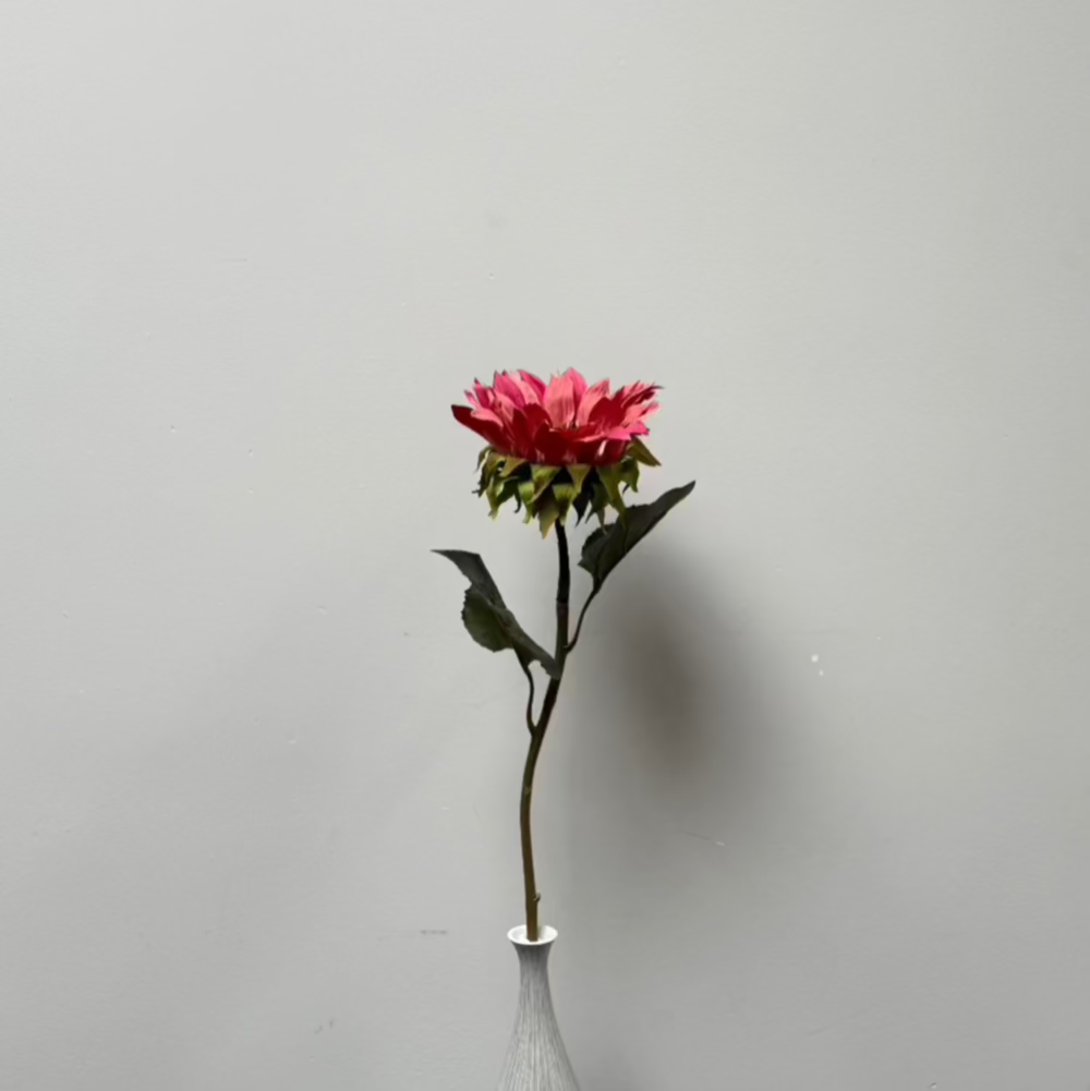 Zonnenbloem