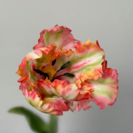 zijden-papegaai-tulp-nepbloem-groen-oranje-rood-interieur