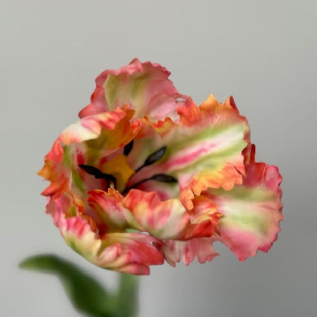 zijden-papegaai-tulp-nepbloem-groen-oranje-rood-interieur