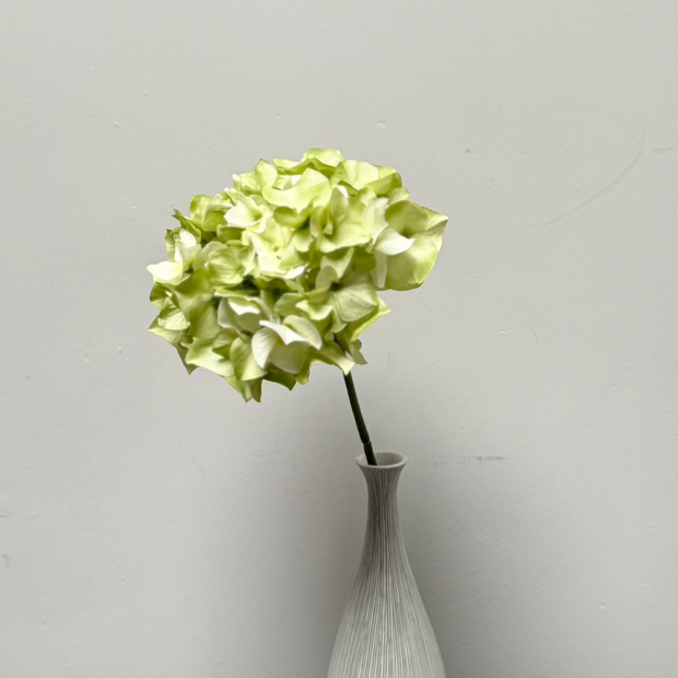 Zijden-groen-creme-hortentia-kunstbloem-nepbloem